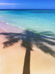 We'd love to be in the shadow of this palm tree - Travel to Santo Domingo, Dominican Republic this winter! #wisemarketplace #wheretogo #inspiration #planet