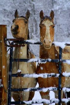 `Horses in winter snow /- - Your Local 14 day Weather FREE > http://www.weathertrends360.com/Dashboard  No Ads or Apps or Hidden Costs