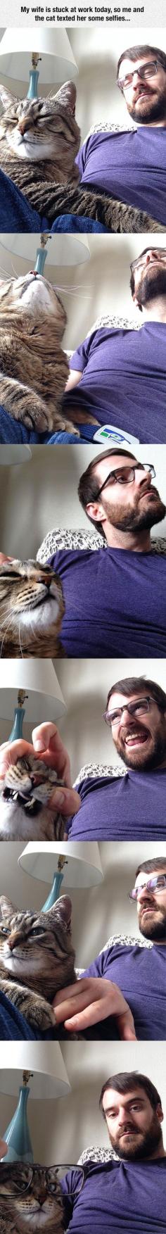 Human And Cat Selfie Time
