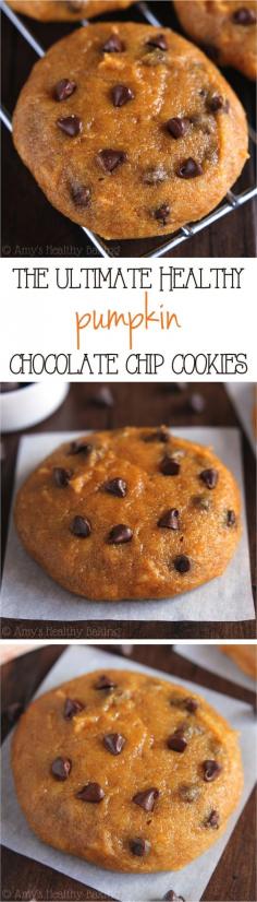 The ULTIMATE Soft & Chewy Pumpkin Chocolate Chip Cookies -- these skinny cookies don't taste healthy at all! You'll never need another pumpkin cookie recipe again!