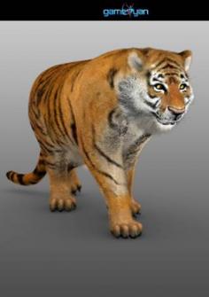 3D Tiger Animal Character Modeling

http://gameyan.com/3d-character-modeling.html