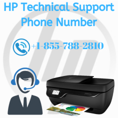 hp printer support number for all hp printer erros and solutions. Here you can solve all types of errors. 
https://www.easyprintersupport.com/hp-technical-support-phone-number/