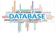 A Database Management System is necessary because it manages data efficiently and allows users to perform multiple tasks. Many businesses do not have the time or support available to collect and process large amounts of data and that will lead to a lack of information about their business how their business is performing, how profitable their product lines are if customers are making repeat purchases.