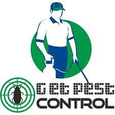How to Control Pests in Delhi