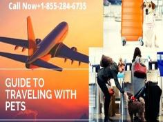 Airlines That Allow Pets In-Cabin When You Fly Call Now+1-855-284-6735 
Want to know airline pet policies for travel with a dog or cat ... After finding your airline, you will need to know their pet policies.  Find the answers to all your questions  by simply dialing +1-855-284-6735 or visit us at https://bit.ly/2ZCyuil. 
#AirlinePetPolicy  #AlaskaAirlinesPetPolicy  #AmericanAirlinesPetPolicy #DeltaAirlinesPetPolicy #PetInsurancePolicy  #SouthwestAirlinesPetPolicy 
