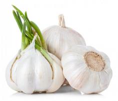 Garlic used in a lot of different kinds of disease treatment, Garlic is an herb that has particular anti-coagulant properties and used as Natural Remedies for Polycythemia Vera and another lot of diseases.
