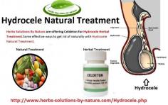 The level of poisons in body hoists because of dishonorable eating and way of life propensities. Given below are some effective Home Remedies for Hydrocele to get rid of naturally with Hydrocele Natural Treatment. Fresh lemon juice weakened in a glass of water with a squeeze of salt or sugar is also an extraordinary solution for counteract vitality misfortune or drying out. Diet is home base Home Treatment for Hydrocele.