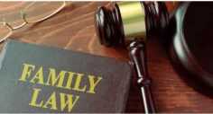 Best family court lawyers in Lucknow, Family Lawyer in Lucknow, Family court lawyer in Lucknow, Best Divorce Lawyers in Lucknow	
https://www.atlawchamber.com/Family-Law.php
