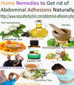 Calendula and comfrey are the best Natural Remedies for Abdominal Adhesions. Both herbs are known to heal scars and dissolve fibrous, non-living tissues.