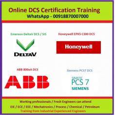 We are Specialized in  Engineering / Commissioning / Services / Training Courses for Emerson Delta V DCS Systems, Emerson Delta V SIS systems, Honeywell Experion EPKS C300 DCS, ABB 800XA DCS, Siemens PCS7 DCS, FGS, Various PLC'S, Various SCADA package's, All type of Field Instruments, Bus technology like Modbus, Foundation Fieldbus, Profibus and Process Control Systems.