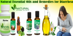 Essential Oils and Natural Remedies for Diarrhea
Ravintsara essential oil is not as popular as many on the list but it comes with a wide variety of medicinal benefits. It is very high in eucalyptol which gives these oil excellent antiviral properties. It can be used in Natural Remedies for Diarrhea and other diseases.
https://www.naturalherbsclinic.com/blog/essential-oils-and-natural-remedies-for-diarrhea/
