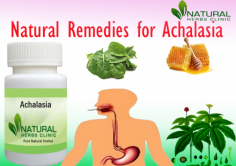 Natural Remedies for Achalasia inserts the absolute best spices and natural strategies for infection treatment. Drink a lot of acid neutralizer water, which is useful to human health since it contains no intoxicants and will keep the ailment under control.
http://www.fxstat.com/en/user/profile/naturalherbsclinic-274905/blog/36094450-Natural-Remedies-for-Achalasia
