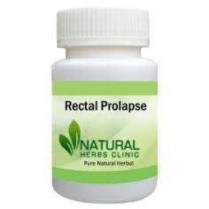 Herbal Treatment for Rectal Prolapse read the Symptoms and Causes. Natural Remedies for Rectal Prolapse and some Supplement help strengthen the muscles of the pelvic area.
