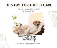 We are The Pets Workshop. Pet Care Redefined. https://www.thepetsworkshop.com.sg