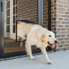 Install Quality Dog Doors in Adelaide

Allow your pets the freedom to roam as they please without any security issues. Patio link provides the pet doors featuring a magnetic closure, ensuring that no other unwelcomed animal will use this entry to your home. Contact us, if you want to install a secure dog doors in Adelaide!
https://patiolink.com.au/
