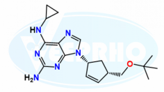 Abacavir EP Impurity F
Catalogue No. - VL760003
CAS No. - 1443421-68-8
Molecular Formula - C18H26N6O
Molecular Weight - 342.44
IUPAC Name -6-(Cyclopropylamino)-9-[(1R,4S)-4-[[(1,1-dimethylethyl)oxy]methyl]cyclopent-2-enyl]-9H-purine-2-amine
Synonyms - O-t-Butyl Derivative Abacavir / Abacavir t-Butyl Ether