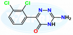 Lamotrigine EP Impurity A
Catalogue No. - VL980002
CAS No. - 252186-78-0
Molecular Formula - C₉H₆Cl₂N₄O
Molecular Weight - 257.08
IUPAC Name - 3-Amino-6-(2,3-dichlorophenyl)-1,2,4-tryriazin-5(2H)-one; 3-Amino-6-(2,3-dichlorophenyl)-1,2,4-tryriazin-5(4H)-one
Synonyms - Lamotrigine Related Compound C / Oxo Impurity