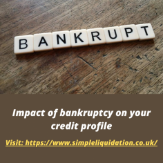 Bankruptcy is a situation where the company is unable to pay their debts so Simple liquidation is a company based in Norwich, United Kingdom. Simple liquidation helps in files your bankruptcy and fulfill all your legal requirements. we are going to discuss impact of bankruptcy on your credit profile.
We are just one call away. visit our website for more information

For more information- https://www.simpleliquidation.co.uk/how-does-bankruptcy-impact-your-credit-profile/

