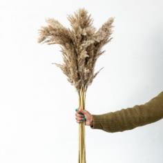 Buy Dried Pampas Grass Natural Brown Online India | Home Decor | Whispering Homes

Choose nature's organic beauty to uplift the style statement of your home decor. Presenting these silken strands of natural pampas grass that blow freely to give a breezy texture at your living space. The rich brown shade looks eye-pleasing and aesthetic. Buy dried pampas grass natural brown online in India at Whispering Homes. Shop Now! https://bit.ly/3rgVkZf
#pampas #pampasgrass #homedecorproducts #homedecoritems #color #interior #interiordecor #homedecor #tabledecor #flowerpot #flowervases #flower #antiques #homedecoration #homeimprovement #officedecor #luxuryvases #styling #homestyling #whisperinghomes #whisperinghomesdecor #whisperinghomeschandigarh