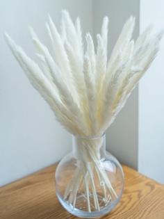 Buy Dried Pampas Grass for Home Decor Online India | Whispering Homes

Naturally sophisticated and stunning home decor accent to add a touch of nature's beauty to your living space, whispering homes brings you a wide range of dried grass and pampas to select from. Vibrant, colorful and eye-soothing plumes bring an essence of delightful spring which when adorned in our beautiful ceramic vases will create a fresh ambiance. Add a dash of chic vintage vibes in your home decor with our decorative dried grass and pampas that are exclusively handpicked in different bright & rustic hues. Silken strands of pampas grass are perfect to add breezy vibes and give a soft texture to your interior palette. Dried grass and pampas such as white pampas grass, bunny tails, and apple leaves are ideal home decor items to use as fillers for your flower arrangements.