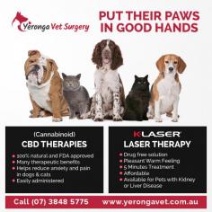 Yeronga Vet Surgery is family owned and run and dedicated to providing your pet with the happy, healthy life it deserves. Our veterinary team has over 40 years of experience and combined with the latest equipment and facilities, we are able to provide the best of veterinary care. We offer a full range of veterinary services and our friendly staff are always available to offer advice on all your pet care needs. Visit https://yerongavet.com.au/