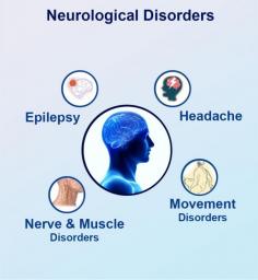 Neurological disorders are those that involve impairments in the nervous system. The nervous system coordinates all of the body's parts and functions. We will consider the nervous system as our body's command center. Without it, we might not be ready to move, speak, swallow, breathe, learn, or all function in the least. There are numerous neurological disorders like Brain tumors, Migraines, Epilepsy, Parkinson’s disease, Alzheimer’s disease, and Stroke, and name a few.

Informative... For more details visit our website : https://neurologysleepcentre.com/

For more information or free personalized guidance, feel free to speak to Neurology and Sleep Centre expert at +919643500270.