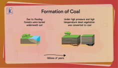 Formation of Coal 