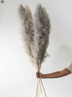 Buy Natural Dried Pampas Grass Online India | Whispering Homes
Naturally sophisticated and stunning home decor accent to add a touch of nature's beauty to your living space, whispering homes brings you a wide range of dried grass and pampas to select from. Vibrant, colorful and eye-soothing plumes bring an essence of delightful spring which when adorned in our beautiful ceramic vases will create a fresh ambiance. Add a dash of chic vintage vibes in your home decor with our decorative dried grass and pampas that are exclusively handpicked in different bright & rustic hues. Silken strands of pampas are perfect to add breezy vibes and give a soft texture to your interior palette. Dried grass and pampas such as white grass, bunny tails, and apple leaves are ideal home decor items to use as fillers for your flower arrangements. https://bit.ly/3iF8rR2 #pampas #pampasgrass #homedecor #whisperinghomes #gift