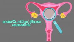 ஃபோலிகுலர் ஆய்வில் எண்டோமெட்ரியல் லைனிங் (ET) என்றால் என்ன? https://www.chennaiwomensclinic.in/what-is-endometrial-lining-in-follicular-study/