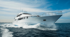 OnBoat provides wide range of yachts for rent in Los Angeles. The prices starts at an affordable $289 for 2 hours on a sailboat rental. We allow instant booking on our website with up to date availabilities and calendar. Book a yacht today with OnBoat and get all the fun in Los Angeles. For additional info click here: https://onboat.co/los-angeles-yacht-charter
