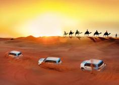 Desert Safari is ideal for groups, couples, families, and others who have a tight schedule in the evening. The desert is an iconic part of Dubai, and desert safari is the most luxurious way to explore it. 
Visit - https://travelplandubai.com/tours/desert-safari/