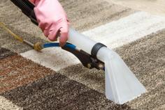 If you’ve got a wet, soggy carpet and don’t know what to do, Total Flood Damage Melbourne is here to help! Our Total wet carpet drying in Melbourne service will have your carpets looking as good as new in no time. We understand the urgency of getting your carpets dried out as quickly as possible to prevent further damage, so we’ll dispatch our team of experienced technicians to your property right away. Using our powerful drying equipment, we’ll extract all the water from your carpets and get them back to their original condition. We offer a convenient and affordable solution for restoring your carpets to their former glory. So don’t wait any longer – call us today! https://totalflooddamagemelbourne.com.au/emergency-wet-carpet-drying-melbourne/
