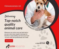 Are you looking for a local Vet in Abbotsford? Call us for more information

We have a team of Emergency Vet In Abbotsford who can help you 24 hours to manage the health problems of your vet and bring them back in great shape. Our Animal Hospital Abbotsford offers additional services including radiology, ultrasound, and breeding consultations. Call us today.