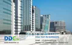 Welcome to DDC Laboratories India if you want the most affordable, fast, and accurate DNA Test in Gurgaon, Haryana. Being one of the topmost DNA testing centers in India, we offer nearly 100% accuracy of the test results for various purposes. Feel free to call at +91 7042446667 or drop a message at +91 9266615552. Our executive will contact you as soon as possible.
