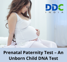 Prenatal Paternity Test is simply the name given to a paternity DNA Test while a pregnant woman is still carrying the baby in her womb. DDC Laboratories India is among the top-notch DNA testing companies, providing 100% accurate and safe Prenatal Paternity test in India. So, call us at +91 7042446667 or book your appointment today!
