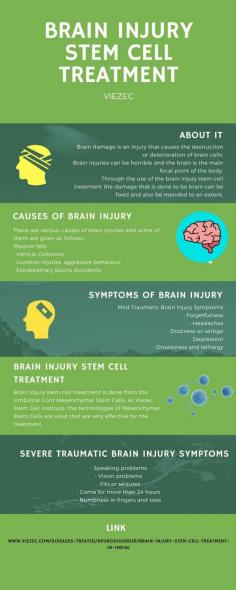 The brain is the most essential and the most important part also, braininjury can be a big headache to anyone and take time to fully recover from the injury, viezec is a Stem Cell Institute which efficiently utilizes the stem cell for the horrible brain treatment. 