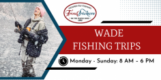 Get Ready For A Fly Fishing Wade Trip!

A fly fishing wade trip offers anglers a chance to learn and concentrate on fly fishing techniques with a guide. To learn more please call us at 970-306-6255.