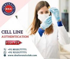 In the area of scientific & human biological research, studying cell lines have played a major role. They find extensive use in the fields of drug & vaccine development, determining cytotoxicity, genetic studies, disease and antibody studies, etc.
At DNA Forensics Laboratory, we are one of the most desirable DNA testing companies for Cell Line Authentication DNA Tests in India. We use the gold-standard STR Profiling method for Cell Line Authentication. Call +918010177771 or WhatsApp us on 919213177771 to learn more or book a Cell Line Authentication test. For more details, read our full blog.