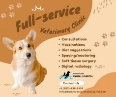 If you are looking for Riverside Veterinary Kamloops contact us today

If you are looking for a Kamloops Small Animal Vet Clinic that cares for dogs and cats then you are at the right place. We can help you if you need Dog Daycare Kamloops services for your dog's illness or injury along with other regular services like consultations, vaccinations, digital radiology, and surgical procedures.
