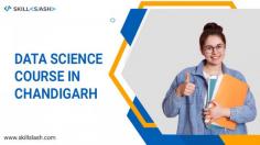Enroll in our Data Science Course in Chandigarh to learn the principles of Data Science. Acquire experience working on projects with top-tier industry collaborators. Learn from professionals in live-interactive sessions with a Guaranteed job referral.

