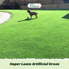 Super Lawn artificial grass is designed to resemble a freshly mowed lawn, in look and feel. With a pile height of 20mm, this creates a highly realistic lawn/garden.

Shop Now -  https://www.artificialgrassgb.co.uk/super-lawn-gb02.html
