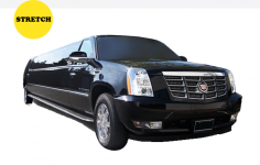 If you are scheduled to arrive at the event early morning or you are in hurry to board your early morning flight then go for an early morning reliable black car from Chicago Black Car Services. It offers different types of cars and luxury sedans that can make your trip safe and enjoyable. Visit the website or dial (312) 383 9384 to know more! 
See more: http://www.chicagoblackcarservice.com/
