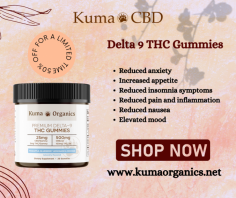 Are you looking for a  delicious way to enjoy the benefits of Delta 9 THC? Look no further than Delta 9 THC Gummies! Our gummies are packed with premium Delta 9 THC for a delicious, convenient, and discreet way to enjoy all the benefits of THC. Plus, visit our website and take advantage of our amazing offer for a limited time only, you can get 50% off Don't delay, get your Delta 9 THC Gummies today.

