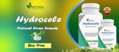 Hydrocele is a condition in which fluid accumulates around the testicles, resulting in swelling and discomfort. Fortunately, there are herbal supplements that can help to reduce the symptoms of hydrocele and even cure it. Herbal supplements are natural remedies that can be taken orally or applied topically to treat hydrocele.