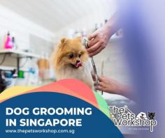 Knowing the basics of dog grooming Singapore is essential for any pet owner, as regular dog grooming Singapore helps to ensure your pup is in optimal health. To start, purchase a proper brush designed for your dog’s coat and size, as well as shampoo and conditioner. Other items you may need include nail clippers, scissors, a comb or shedding blade and styling shears if doing artistic trims or cuts. Additionally, familiarise yourself with different breeds of dogs and their specific coat types so that you can use suitable tools and techniques tailored to each breed. Lastly, being mindful of the right way to handle your pup during the process is just as important — make sure to use gentle strokes, stay calm and reassure them as they could be scared or anxious at certain points.

click site : https://www.thepetsworkshop.com.sg/