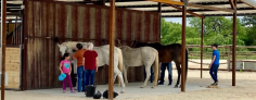 Best Ranches Texas 

Are you looking for best ranches Texas? If yes, then your search ends at Bandera Historical Riding! This is the premier house camp ranch that can rightly meet your passion. Contact it today! 

Visit us:- https://www.banderahistoricalrides.com/