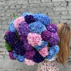Order wholesale Hydrangeas from FiftyFlowers. A wide selection of quality and fresh bulk Hydrangeas straight from the farm at low prices. Save huge money on wedding, anniversary, bday parties. 
For more details visit this website: https://fiftyflowers.com/collections/hydrangeas
