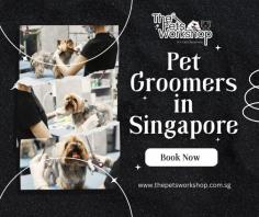 Dog grooming Singapore has become an essential part of pet care, ensuring that dogs look and feel their best. With the tropical climate and high humidity in Singapore, dogs are prone to skin problems and coat matting, making regular grooming an important aspect of their overall health and wellbeing. Professional dog grooming Singapore offer a wide range of grooming treatments such as baths, haircuts, nail trimming, ear cleaning, and dental care. They also use high-quality grooming products to ensure that dogs’ coats and skin remain healthy and shiny. In addition to the physical benefits, grooming also provides a bonding experience between dogs and their owners, strengthening the human-animal bond. With the rise in popularity of dog grooming Singapore, pet owners have a plethora of choices, ranging from mobile grooming services to luxury spas, to cater to their pets’ grooming needs.

Website : www.thepetsworkshop.com.sg