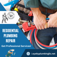 Get Residential Plumbing Services 

We are dedicated to serving our residential clients with the most advanced services in the plumbing industry. Our experts handle plumbing issues to resolve them quickly and easily. Send us an email at info@loyaltyplumbingllc.com for more details.