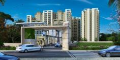 Are you planning to invest in real estate projects? Then you need to check out ROF’s extensive range of affordable projects in New Gurgaon that will definitely meet your requirements. Our comprehensive projects range from apartments, independent houses, villas, penthouses and commercial spaces to suit varying budgets. We have a team of professionals who have experience and expertise in the real estate market. We also offer customized solutions to help you make the best investment decision. We have the perfect project for you, whether you are looking for an investment or a home. Come visit us and experience the best in Gurgaon real estate or contact us today to find out more about affordable projects.